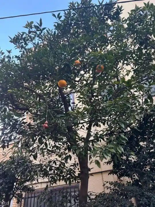 秋葉神社の御朱印