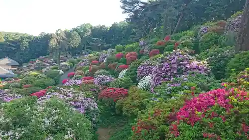 塩船観音寺の景色