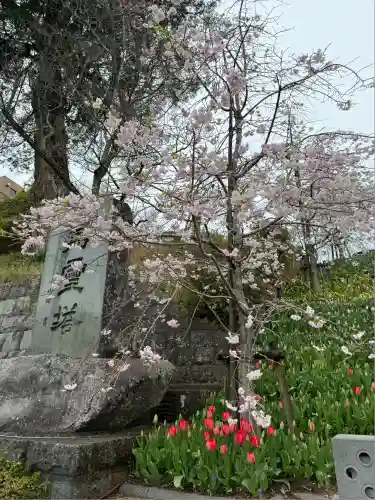 泉蔵寺(神奈川県)