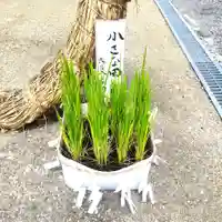 七重浜海津見神社(北海道)