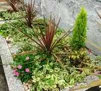 寿量山 速成寺の自然