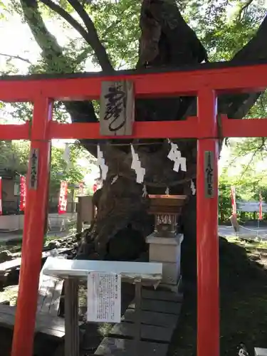 秩父今宮神社の鳥居