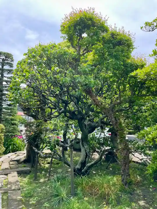 通校神社(神奈川県)