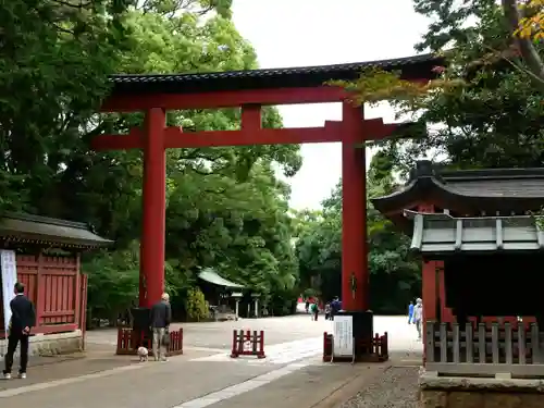 武蔵一宮氷川神社の鳥居