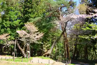磐椅神社の自然