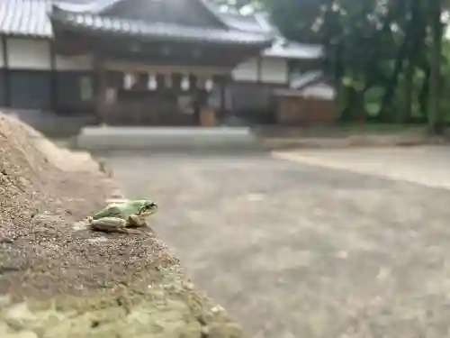 川田八幡神社の動物
