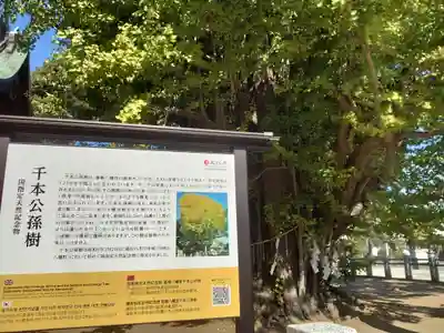 葛飾八幡宮(千葉県)