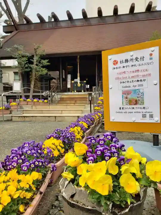 高円寺氷川神社(東京都)
