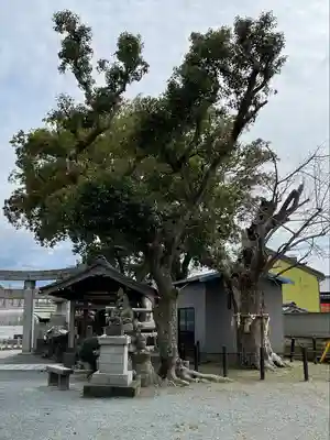 波折神社の自然