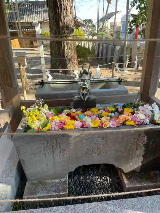 玉前神社の{uncategorized: "未分類", other: "その他", undefined: "問題あり", building: "その他建物", grave: "お墓", sacred_gate: "鳥居", guardian: "狛犬", statue: "像", buddha: "仏像", history: "歴史", nature: "自然", garden: "庭園", animal: "動物", pagoda: "塔", temizu: "手水舎", mountain_gate: "山門・神門", sanctuary: "本殿・本堂", subordinate: "末社・摂社", art: "芸術", scenery: "景色", jizo: "地蔵", ema: "絵馬", goshuin: "御朱印", omikuji: "おみくじ", items: "授与品その他", amulet: "お守り", goshuincho: "御朱印帳", eats: "食事", festival: "お祭り", votive_dance: "神楽", shichigosan: "七五三参", wedding: "結婚式", experience: "体験その他", initially: "初詣", around: "周辺", anti_infection: "感染症対策"}