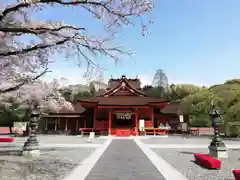 富士山本宮浅間大社の本殿