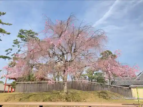 興福寺(奈良県)