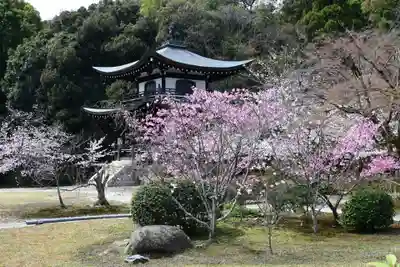 勧修寺(京都府)