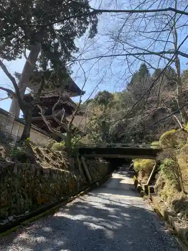 園城寺（三井寺）(滋賀県)