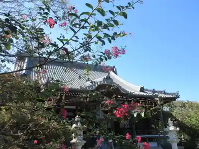 本覚寺の本殿・本堂