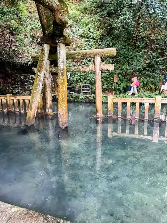 鹿島神宮の{uncategorized: "未分類", other: "その他", undefined: "問題あり", building: "その他建物", grave: "お墓", sacred_gate: "鳥居", guardian: "狛犬", statue: "像", buddha: "仏像", history: "歴史", nature: "自然", garden: "庭園", animal: "動物", pagoda: "塔", temizu: "手水舎", mountain_gate: "山門・神門", sanctuary: "本殿・本堂", subordinate: "末社・摂社", art: "芸術", scenery: "景色", jizo: "地蔵", ema: "絵馬", goshuin: "御朱印", omikuji: "おみくじ", items: "授与品その他", amulet: "お守り", goshuincho: "御朱印帳", eats: "食事", festival: "お祭り", votive_dance: "神楽", shichigosan: "七五三参", wedding: "結婚式", experience: "体験その他", initially: "初詣", around: "周辺", anti_infection: "感染症対策"}