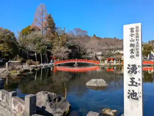 富士山本宮浅間大社(静岡県)
