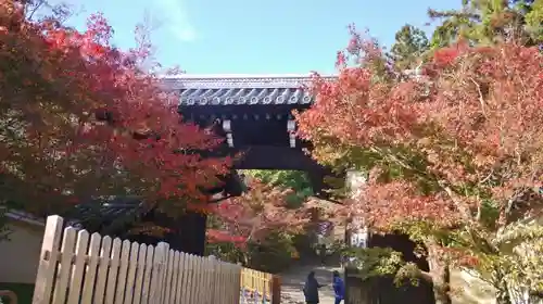 光明寺（粟生光明寺）の山門・神門