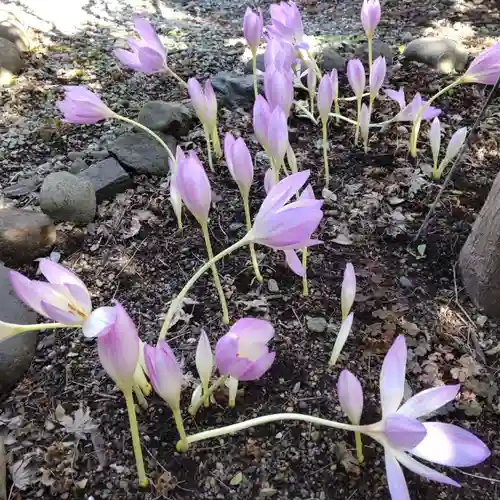 七重浜海津見神社(北海道)