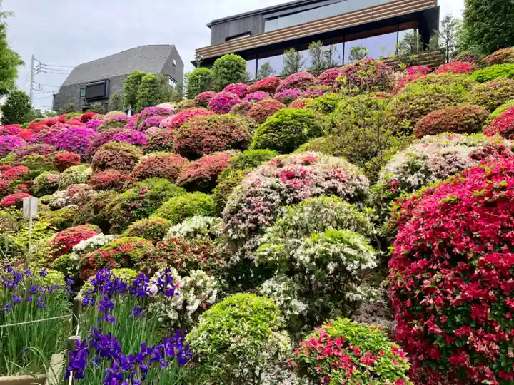 根津神社(東京都)