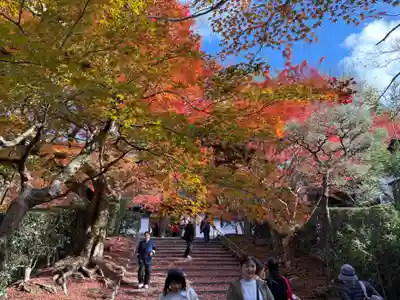 安楽寺(京都府)