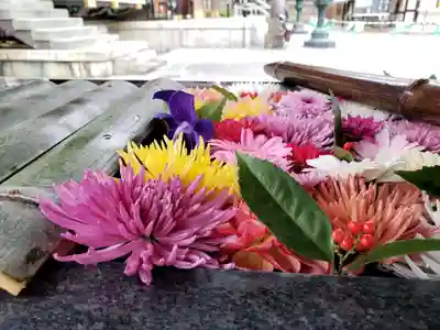 熊野神社の手水舎