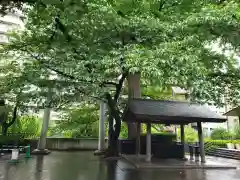 熊野神社(東京都)