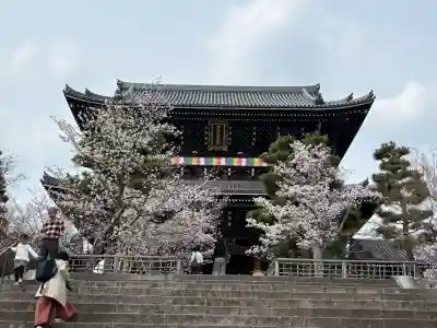 くろ谷 金戒光明寺(京都府)