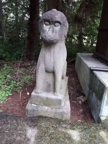 櫻岡大神宮の狛犬