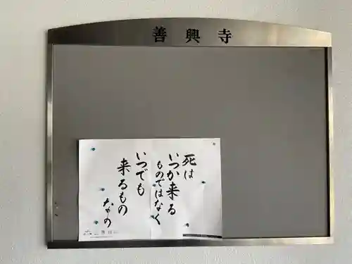 善興寺(愛知県)