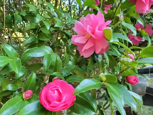 住吉神社の自然