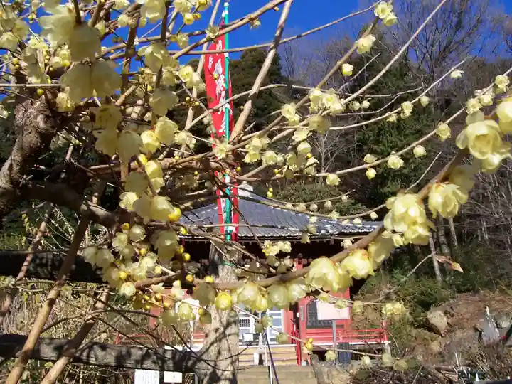 清水寺の自然