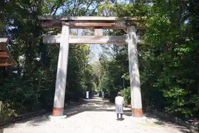 津八幡宮の鳥居