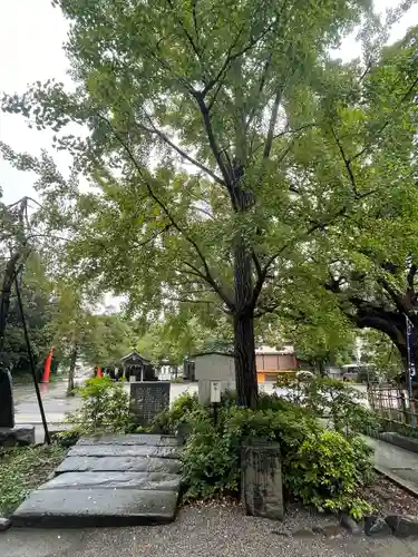 稲毛神社の庭園