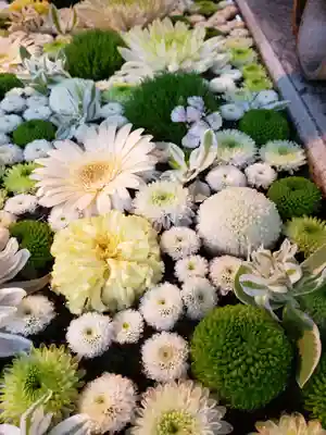 高円寺氷川神社の手水舎