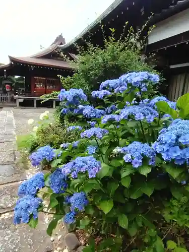 本郷氷川神社(東京都)