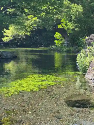富士山本宮浅間大社の{uncategorized: "未分類", other: "その他", undefined: "問題あり", building: "その他建物", grave: "お墓", sacred_gate: "鳥居", guardian: "狛犬", statue: "像", buddha: "仏像", history: "歴史", nature: "自然", garden: "庭園", animal: "動物", pagoda: "塔", temizu: "手水舎", mountain_gate: "山門・神門", sanctuary: "本殿・本堂", subordinate: "末社・摂社", art: "芸術", scenery: "景色", jizo: "地蔵", ema: "絵馬", goshuin: "御朱印", omikuji: "おみくじ", items: "授与品その他", amulet: "お守り", goshuincho: "御朱印帳", eats: "食事", festival: "お祭り", votive_dance: "神楽", shichigosan: "七五三参", wedding: "結婚式", experience: "体験その他", initially: "初詣", around: "周辺", anti_infection: "感染症対策"}
