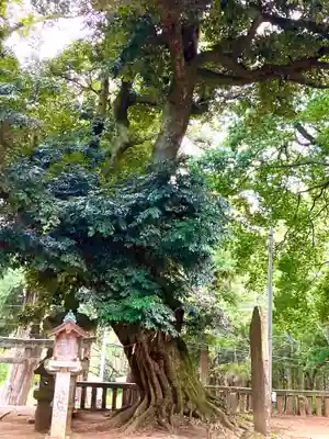 雨引千勝神社(茨城県)