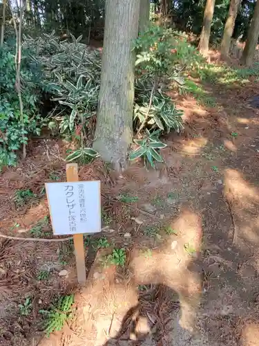 長沼八幡宮(栃木県)