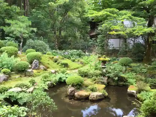 三千院門跡の庭園