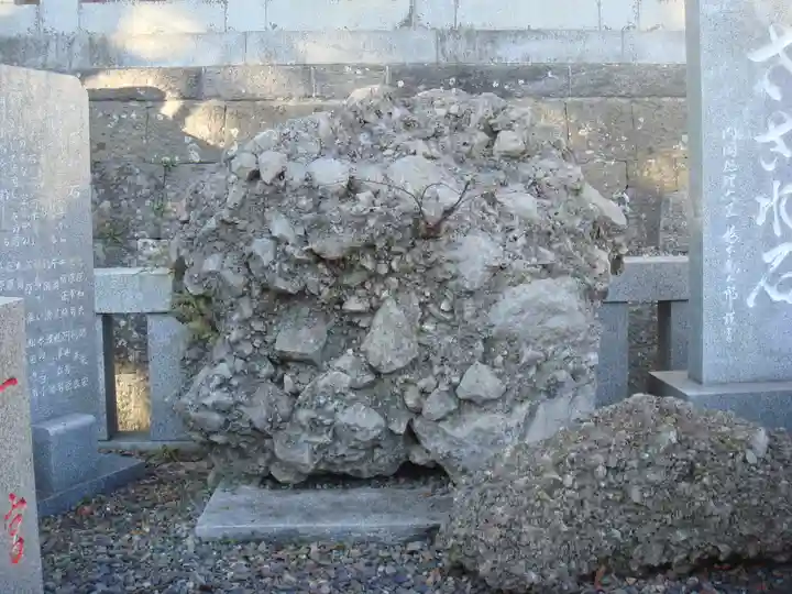 玉前神社の自然