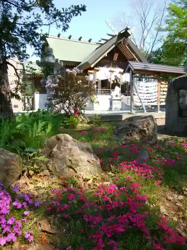 信濃神社の本殿