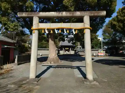 日吉浅間神社(静岡県)