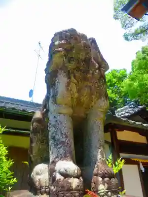 琴平神社(奈良県)