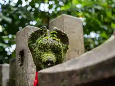 伏見稲荷大社三ノ峰（下之社神蹟・白菊大神）の{uncategorized: "未分類", other: "その他", undefined: "問題あり", building: "その他建物", grave: "お墓", sacred_gate: "鳥居", guardian: "狛犬", statue: "像", buddha: "仏像", history: "歴史", nature: "自然", garden: "庭園", animal: "動物", pagoda: "塔", temizu: "手水舎", mountain_gate: "山門・神門", sanctuary: "本殿・本堂", subordinate: "末社・摂社", art: "芸術", scenery: "景色", jizo: "地蔵", ema: "絵馬", goshuin: "御朱印", omikuji: "おみくじ", items: "授与品その他", amulet: "お守り", goshuincho: "御朱印帳", eats: "食事", festival: "お祭り", votive_dance: "神楽", shichigosan: "七五三参", wedding: "結婚式", experience: "体験その他", initially: "初詣", around: "周辺", anti_infection: "感染症対策"}