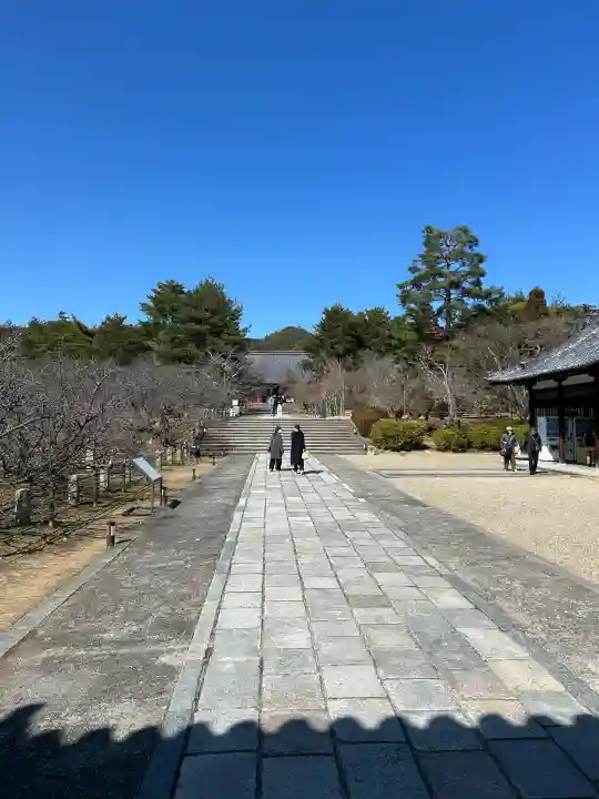 仁和寺の{uncategorized: "未分類", other: "その他", undefined: "問題あり", building: "その他建物", grave: "お墓", sacred_gate: "鳥居", guardian: "狛犬", statue: "像", buddha: "仏像", history: "歴史", nature: "自然", garden: "庭園", animal: "動物", pagoda: "塔", temizu: "手水舎", mountain_gate: "山門・神門", sanctuary: "本殿・本堂", subordinate: "末社・摂社", art: "芸術", scenery: "景色", jizo: "地蔵", ema: "絵馬", goshuin: "御朱印", omikuji: "おみくじ", items: "授与品その他", amulet: "お守り", goshuincho: "御朱印帳", eats: "食事", festival: "お祭り", votive_dance: "神楽", shichigosan: "七五三参", wedding: "結婚式", experience: "体験その他", initially: "初詣", around: "周辺", anti_infection: "感染症対策"}