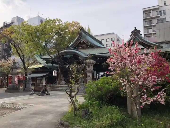 髙牟神社の本殿・本堂