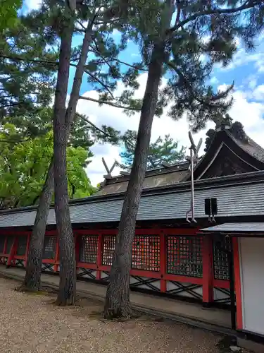 住吉大社の本殿