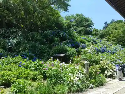 観音寺(京都府)