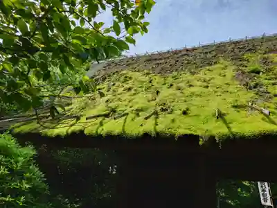 杉本寺(神奈川県)